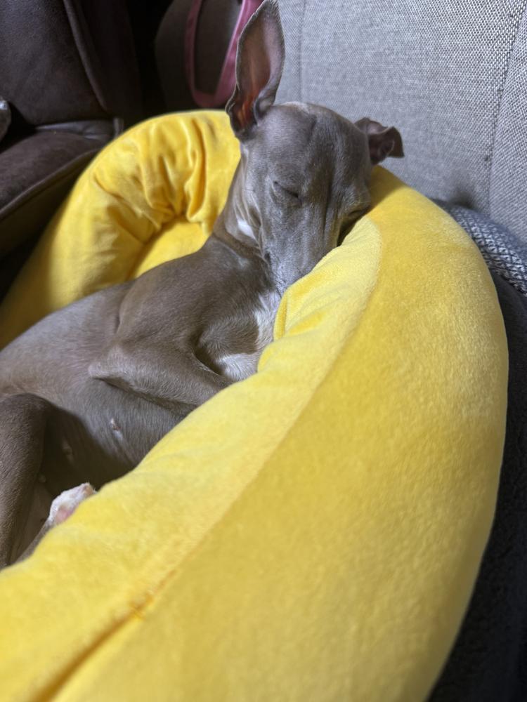 眠り姫は最近ベット笑