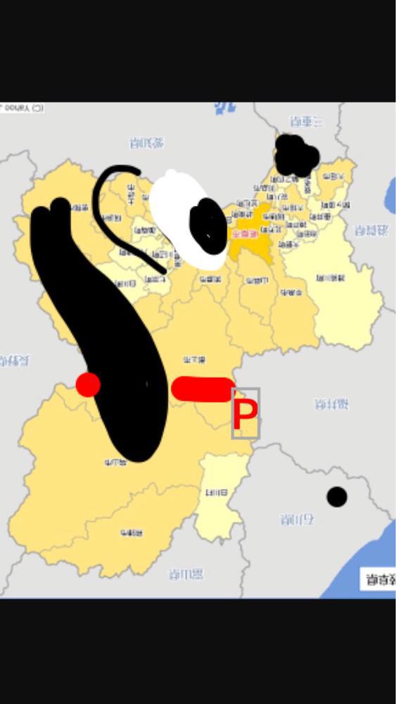 岐阜はプードル💓‪