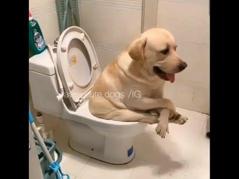 最近のはるかかも笑😅