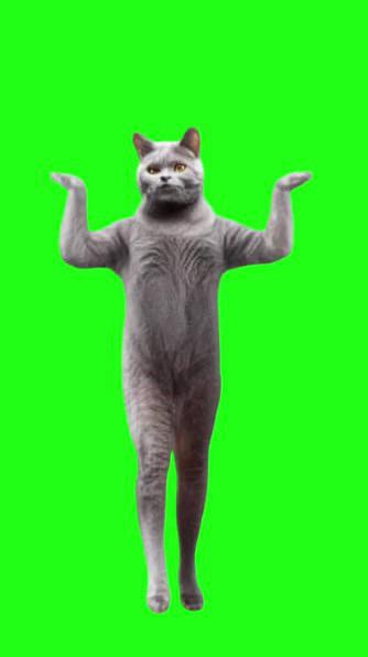 カリスマ？笑今流行りのあの曲？笑