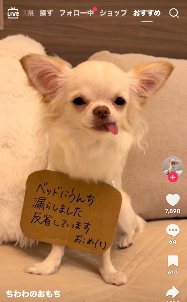 こんなんされたら許しちゃう🤣