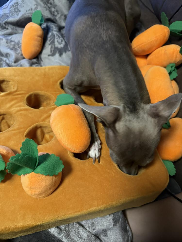 人参おばけ👻🥕