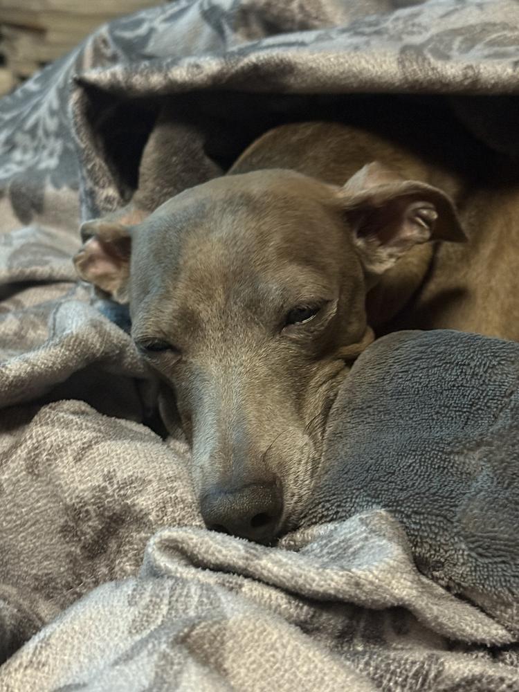 ねむたいね！😪🤣🤣