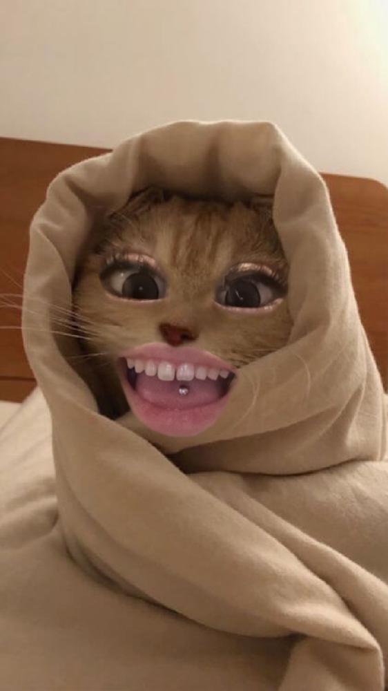 恐怖映像？！笑🤣