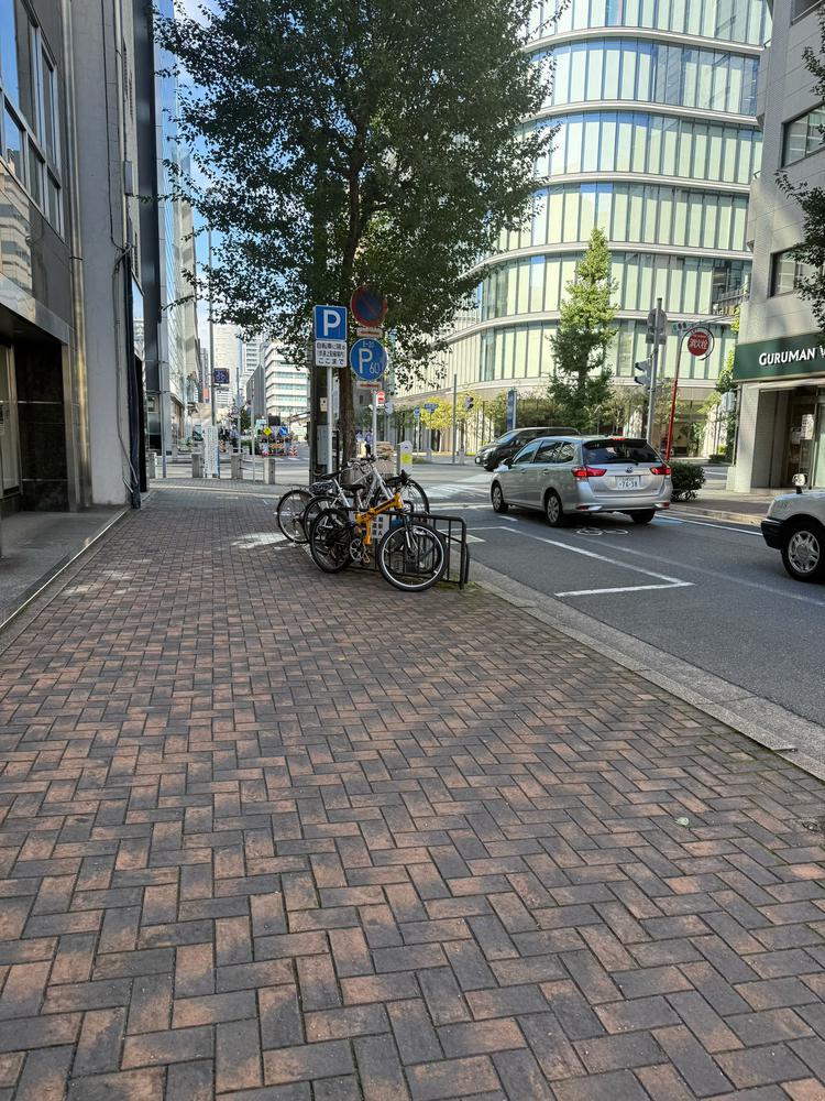 朝の錦をみせます笑🤣