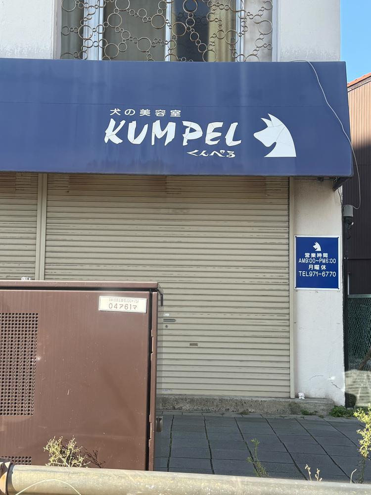 犬の美容院ってあるんだね！！！