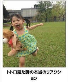 トトロそんな怖いんかな？笑