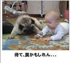 優しい💓‪💓‪💓‪