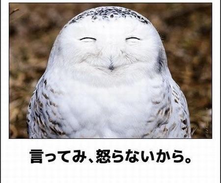 おもしろ画像集‼️