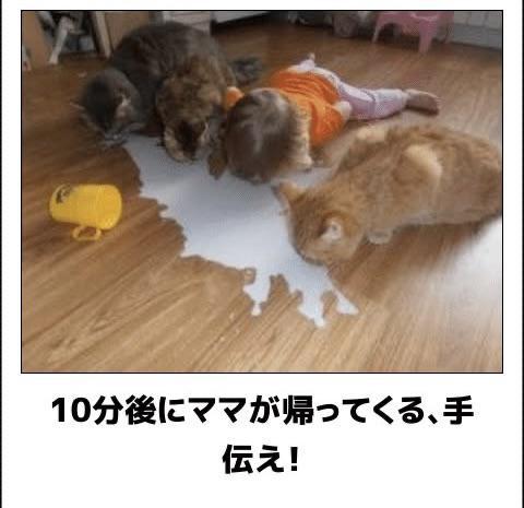 おもしろ画像集‼️