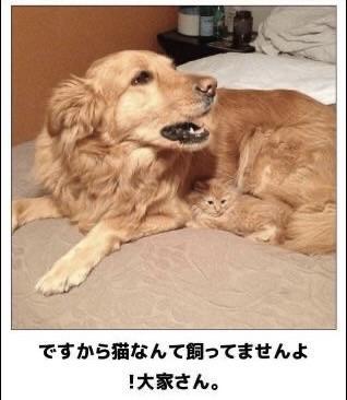 おもしろ画像集‼️