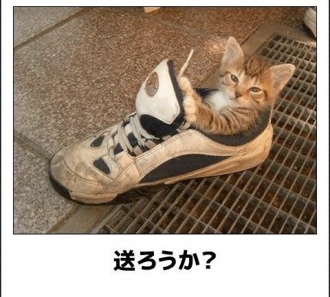 おもしろ画像集‼️