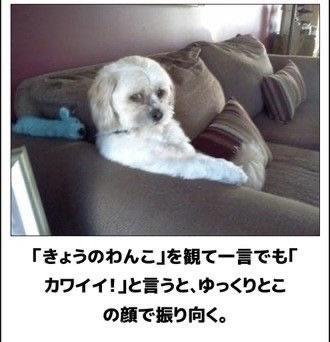 おもしろ画像集‼️