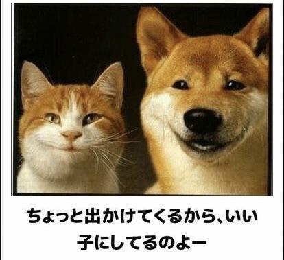 おもしろ画像集‼️