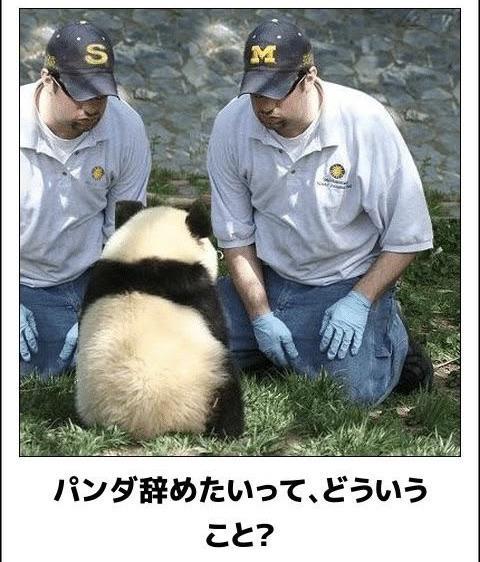 おもしろ画像集‼️