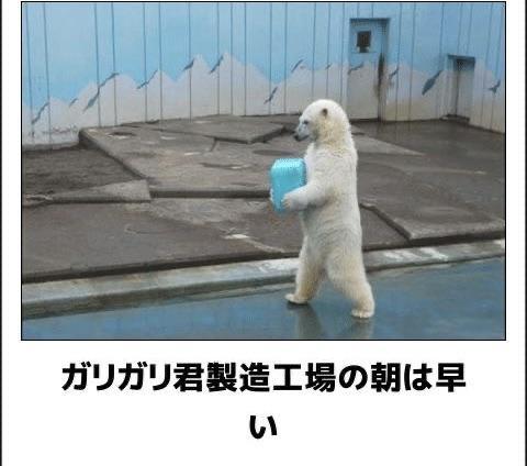 おもしろ画像集‼️