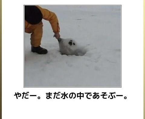 おもしろ画像集‼️