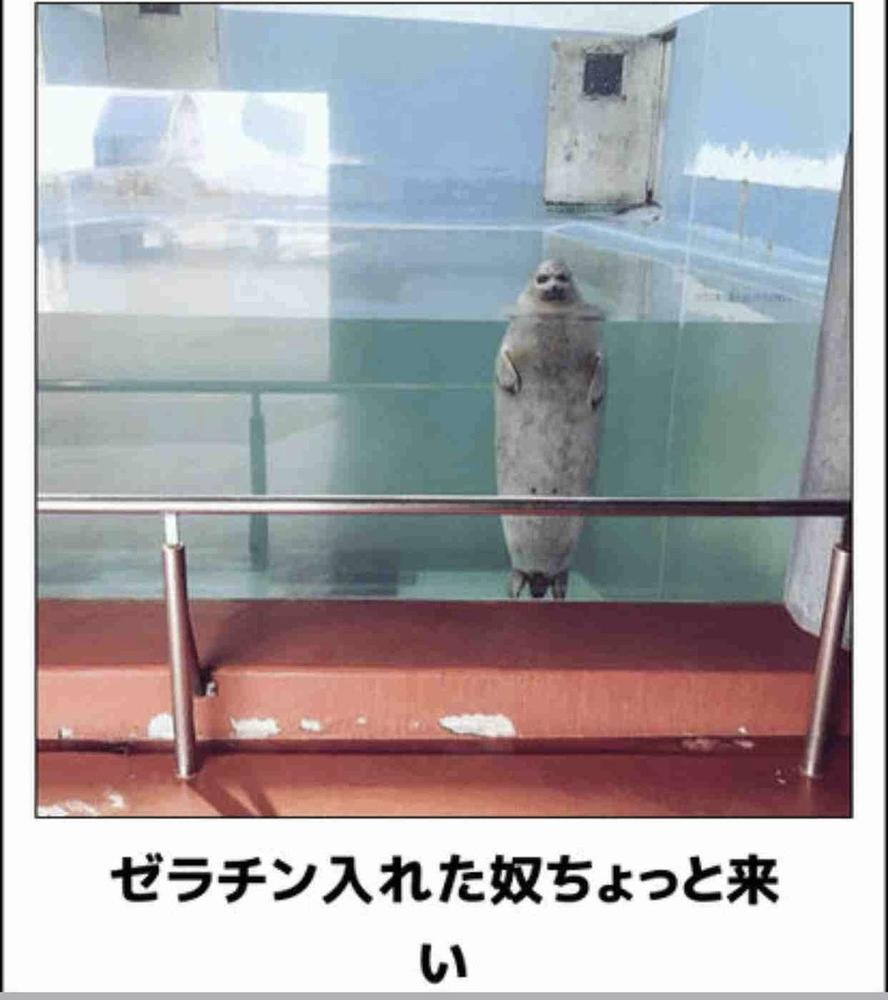 おもしろ画像集‼️