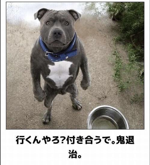 おもしろ画像集‼️たくましすぎる。笑