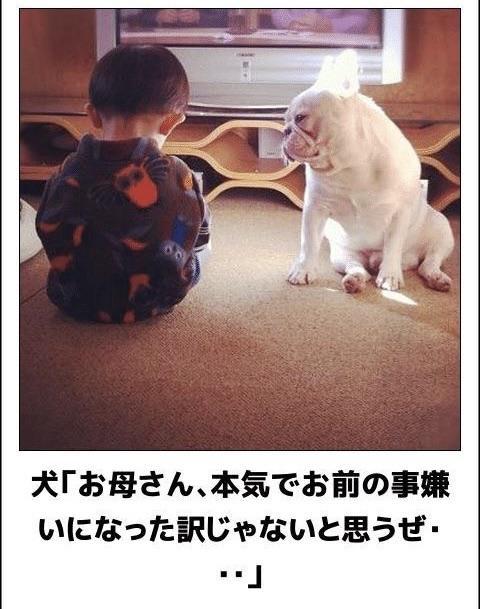 おもしろ画像集‼️