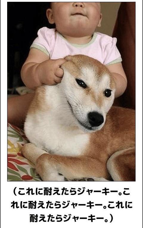 おもしろ画像集‼️