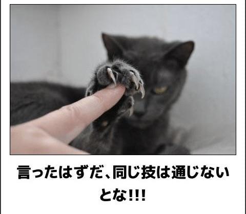 おもしろ画像集‼️😱