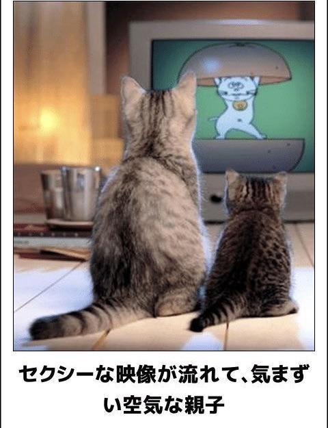 とりあえずラストー‼️💖