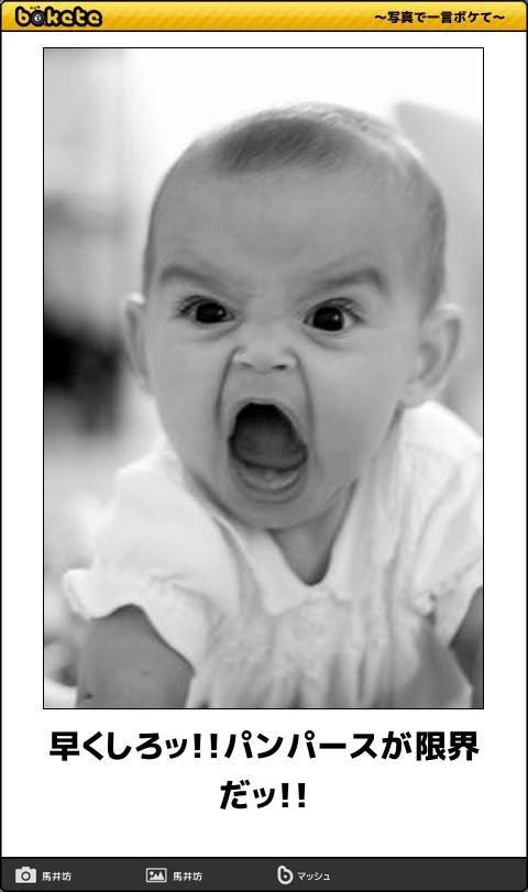 おもしろ画像集‼️