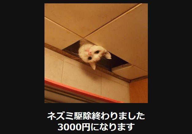 おもしろ画像集‼️