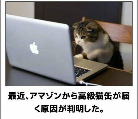 おもしろ画像集‼️