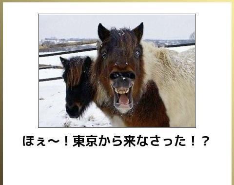 おもしろ画像集‼️