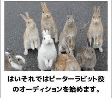 おもしろ画像集‼️