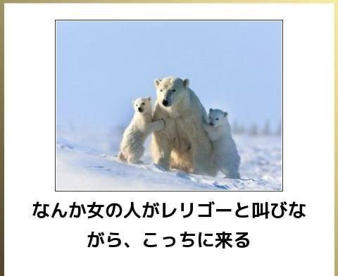 おもしろ画像集‼️