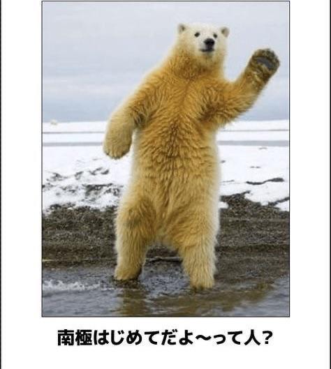 おもしろ画像集‼️