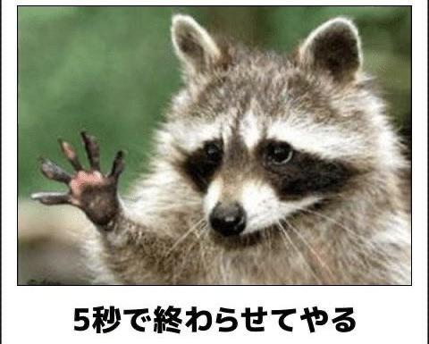 おもしろ画像集‼️