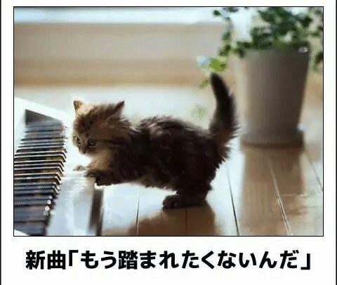 おもしろ画像集‼️