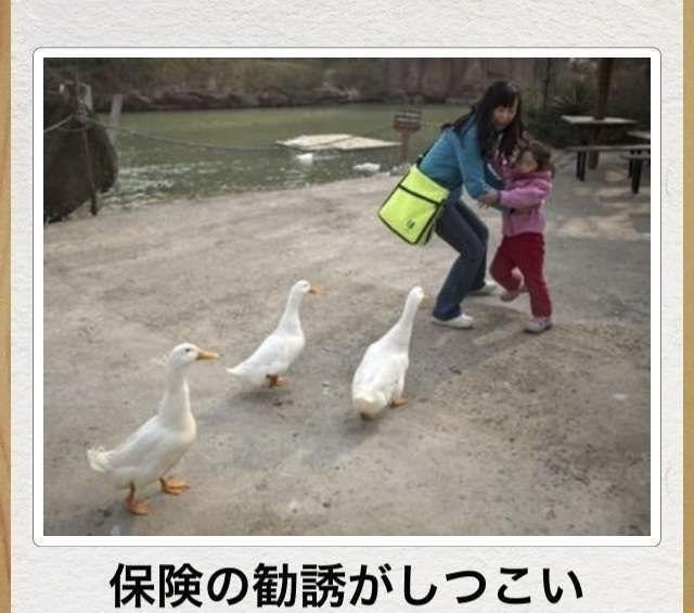 おもしろ画像集‼️