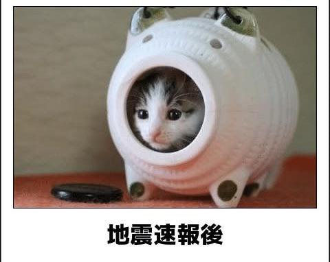 おもしろ画像集‼️