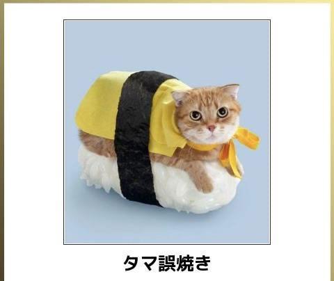 おもしろ画像集‼️