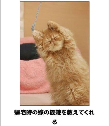 おもしろ画像集‼️