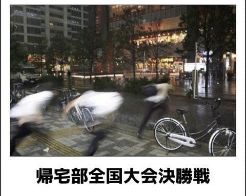 おもしろ画像集‼️