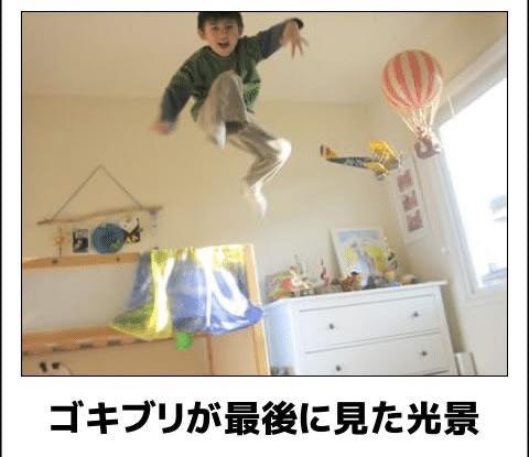 おもしろ画像集‼️