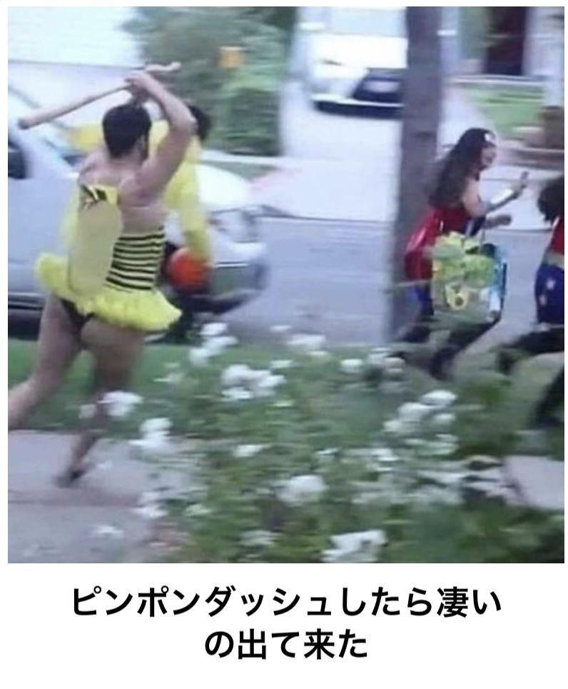 おもしろ画像集‼️