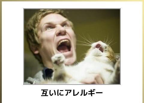 おもしろ画像集‼️