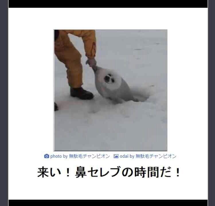 おもしろ画像集‼️