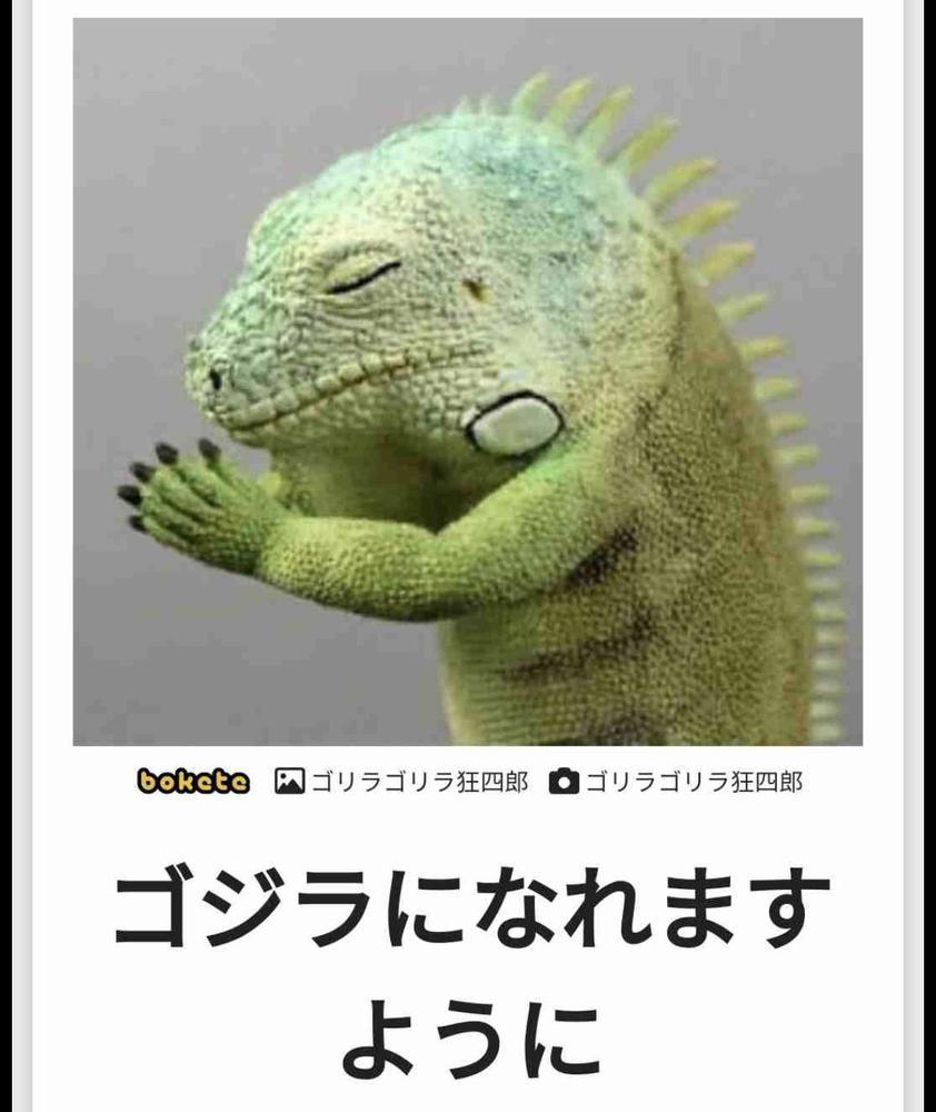 おもしろ画像集‼️