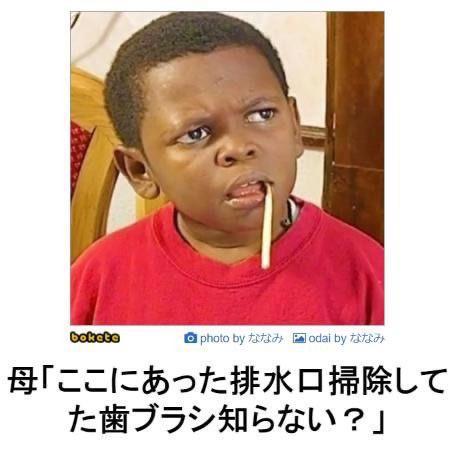 おもしろ画像集‼️