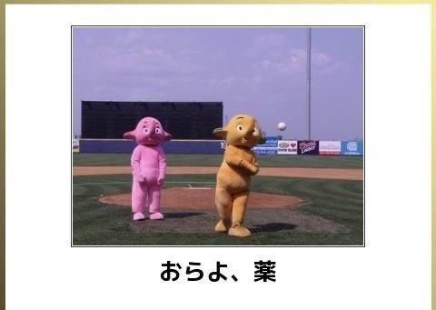 おもしろ画像集‼️