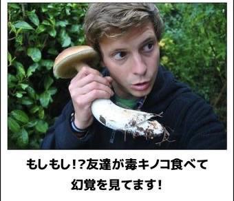 おもしろ画像集‼️