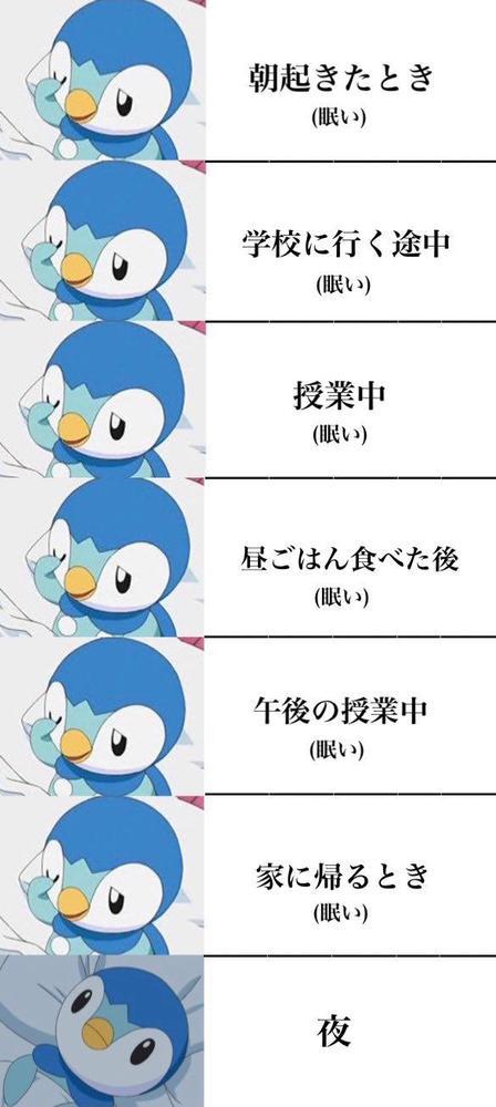 おもしろ画像集‼️